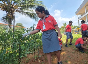 Kindergarten Activity