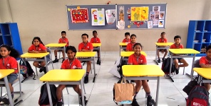 Primary School Activity